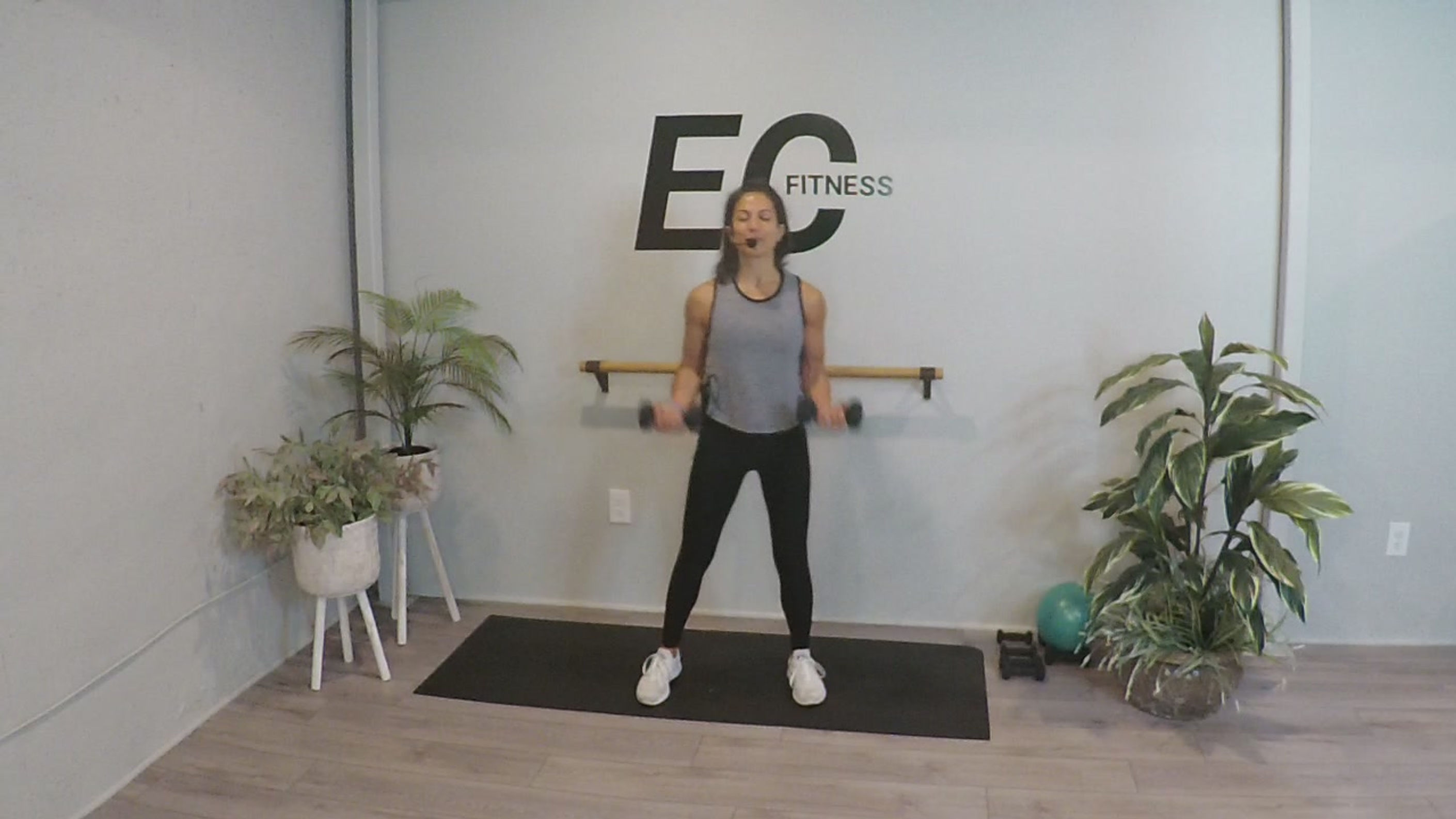 Arms & Core